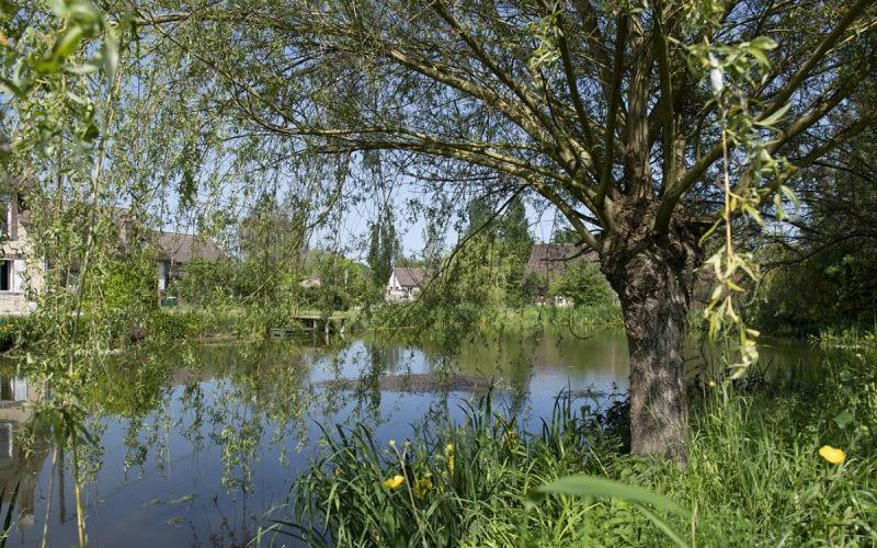 Holistica Saint-Fargeau (Yonne) Exterior foto